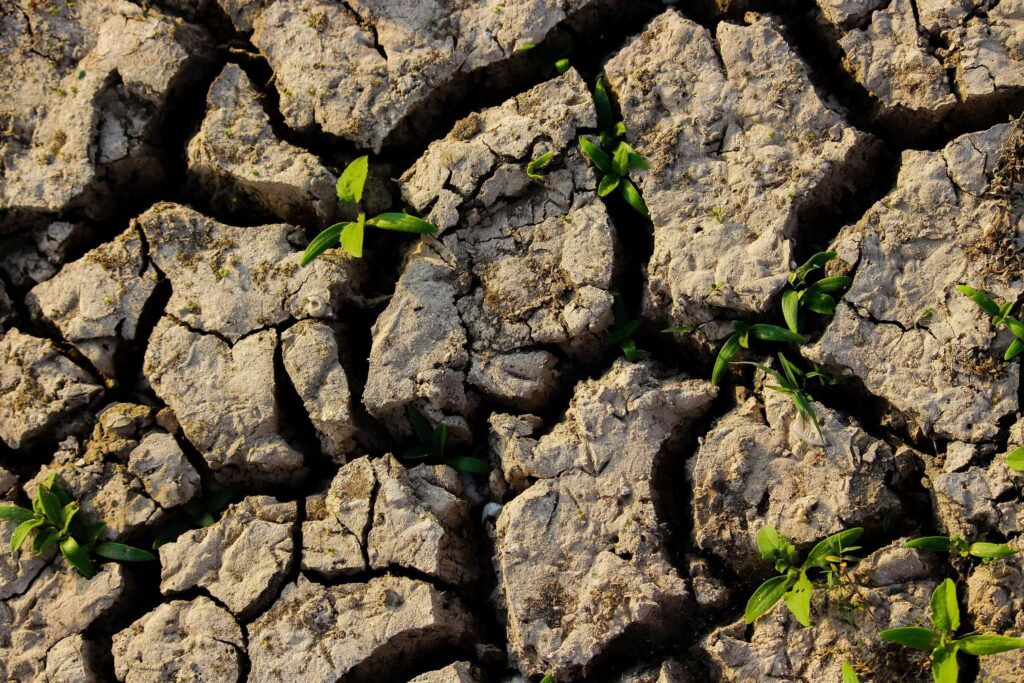 Houston summer home maintenance — foundation soil separation example